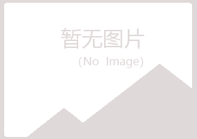 鹤岗兴安夏日冶炼有限公司